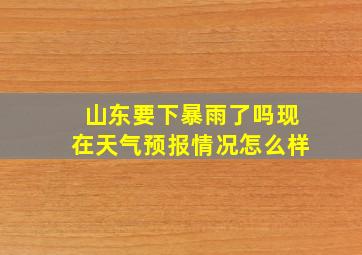 山东要下暴雨了吗现在天气预报情况怎么样