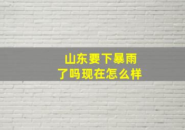 山东要下暴雨了吗现在怎么样