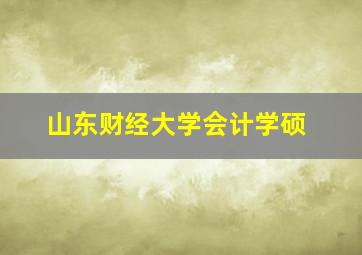 山东财经大学会计学硕