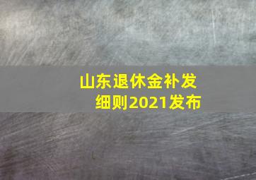 山东退休金补发细则2021发布