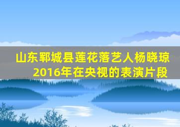 山东郓城县莲花落艺人杨晓琼2016年在央视的表演片段