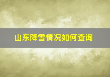 山东降雪情况如何查询