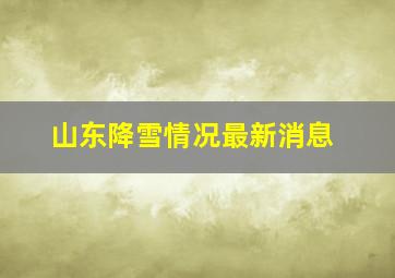 山东降雪情况最新消息