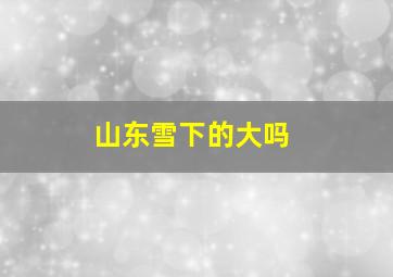 山东雪下的大吗