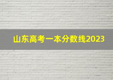 山东高考一本分数线2023