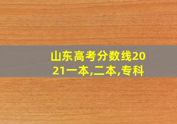 山东高考分数线2021一本,二本,专科