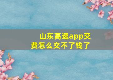 山东高速app交费怎么交不了钱了