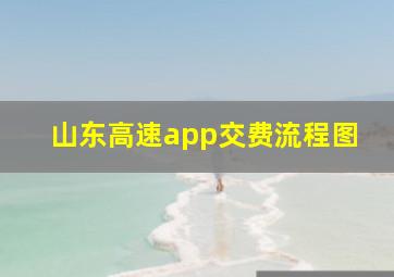 山东高速app交费流程图