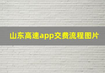 山东高速app交费流程图片