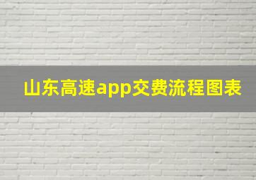 山东高速app交费流程图表