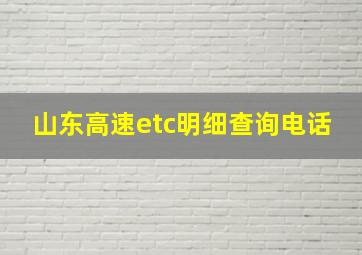 山东高速etc明细查询电话