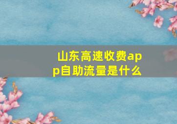 山东高速收费app自助流量是什么