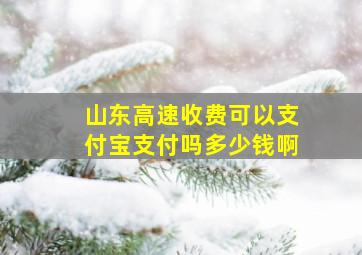 山东高速收费可以支付宝支付吗多少钱啊