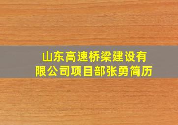 山东高速桥梁建设有限公司项目部张勇简历