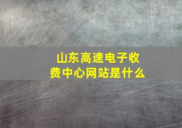 山东高速电子收费中心网站是什么