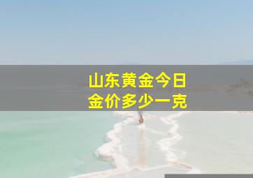 山东黄金今日金价多少一克