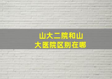 山大二院和山大医院区别在哪