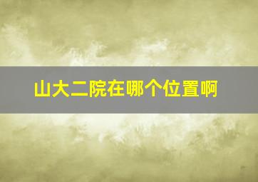 山大二院在哪个位置啊