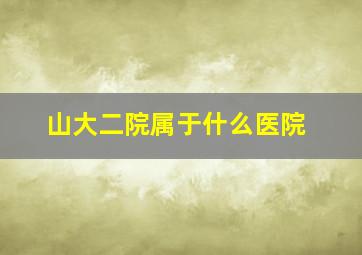 山大二院属于什么医院