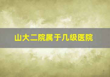 山大二院属于几级医院