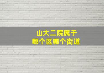 山大二院属于哪个区哪个街道