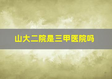 山大二院是三甲医院吗