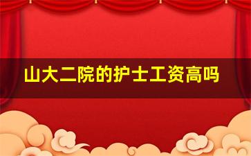 山大二院的护士工资高吗