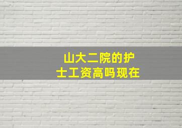 山大二院的护士工资高吗现在