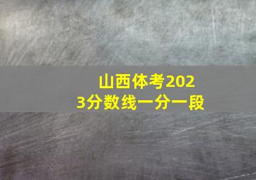 山西体考2023分数线一分一段