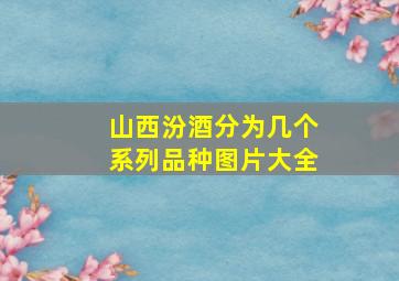 山西汾酒分为几个系列品种图片大全