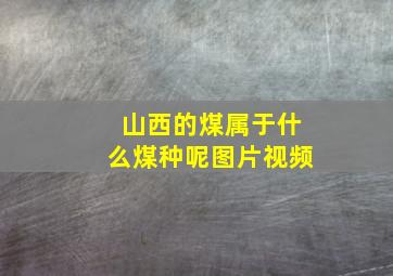 山西的煤属于什么煤种呢图片视频