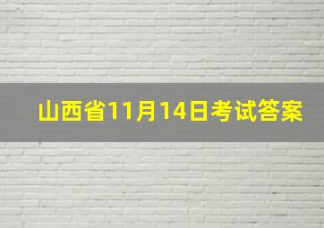 山西省11月14日考试答案