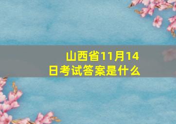 山西省11月14日考试答案是什么