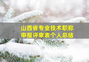 山西省专业技术职称申报评审表个人总结