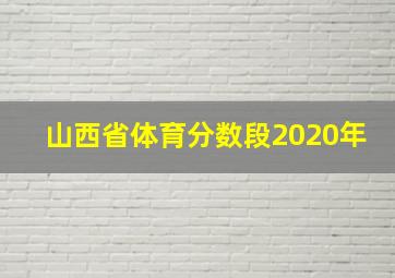 山西省体育分数段2020年