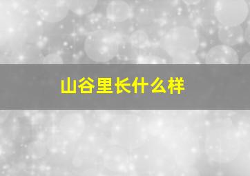 山谷里长什么样