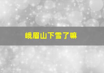 峨眉山下雪了嘛