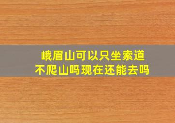 峨眉山可以只坐索道不爬山吗现在还能去吗