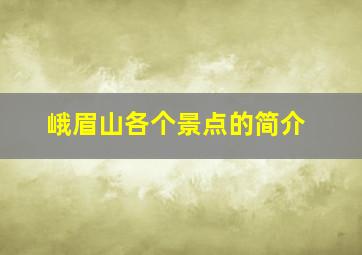 峨眉山各个景点的简介