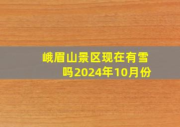 峨眉山景区现在有雪吗2024年10月份