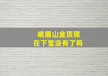 峨眉山金顶现在下雪没有了吗