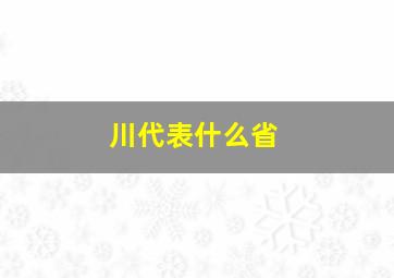 川代表什么省