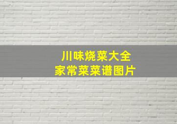 川味烧菜大全家常菜菜谱图片