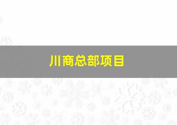 川商总部项目