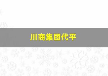 川商集团代平