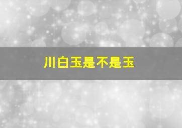 川白玉是不是玉