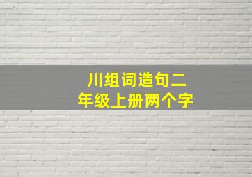 川组词造句二年级上册两个字