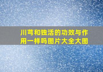 川芎和独活的功效与作用一样吗图片大全大图