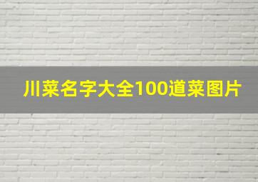 川菜名字大全100道菜图片