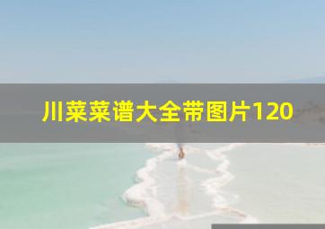 川菜菜谱大全带图片120